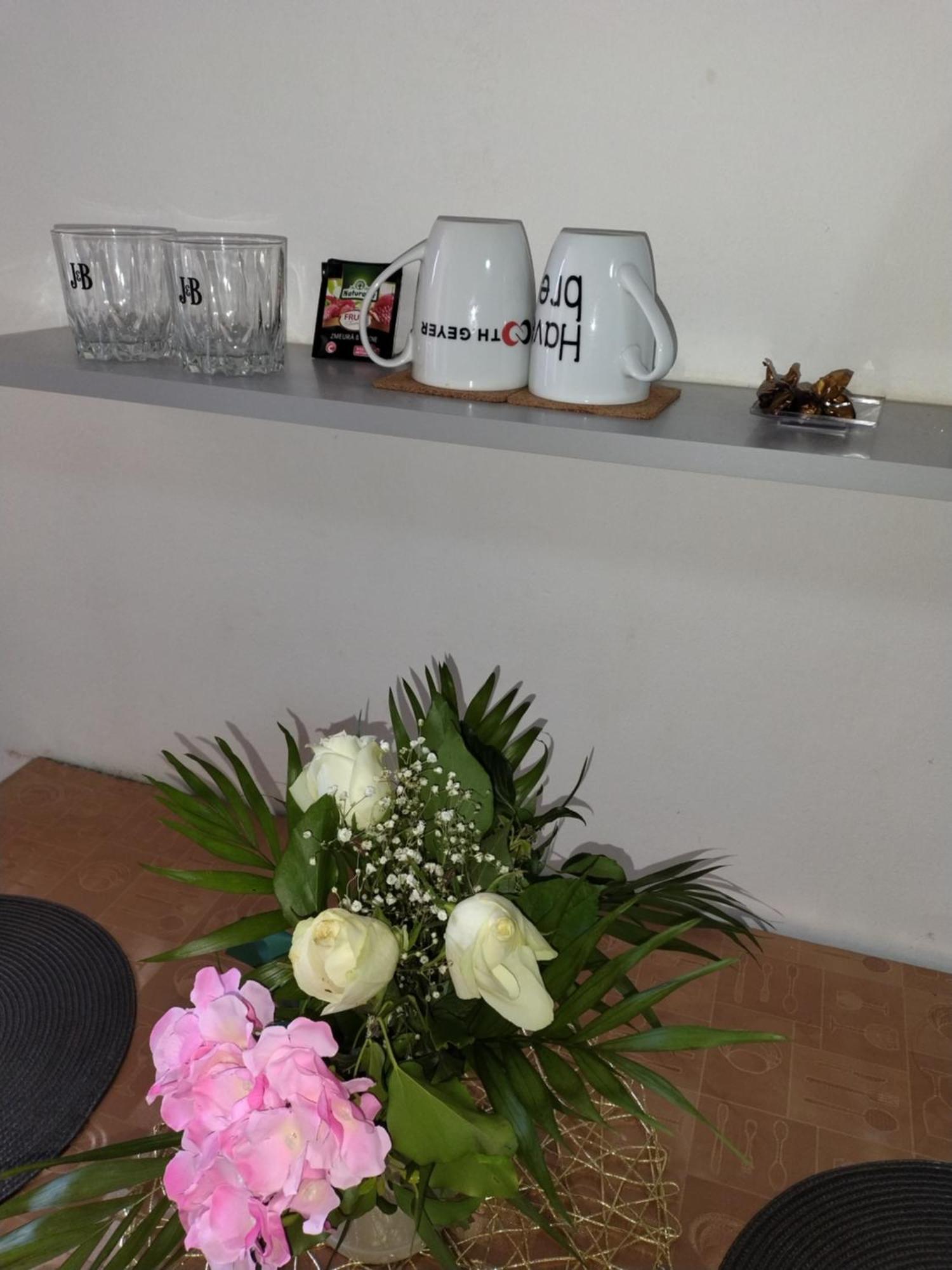 Regy Apartamento Oradea Exterior foto
